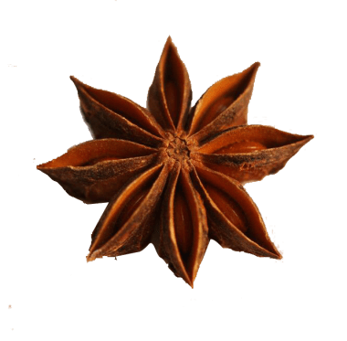 a star anise, fennel, product kind, food png