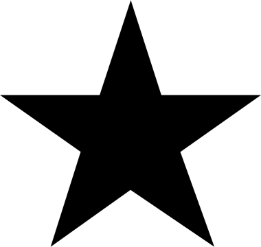 Black star shape in black icon png