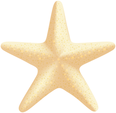 étoile de mer beige, étoile de mer, étoile de mer, peinture à l'aquarelle, plage png
