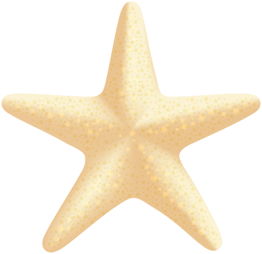 Descargar Estrella de mar beige, estrella de mar, estrella de mar., pintura de acuarela, playa, verano png