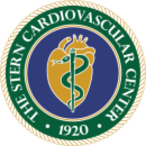 Stern badge logo
