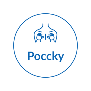 logo poccky png transparent
