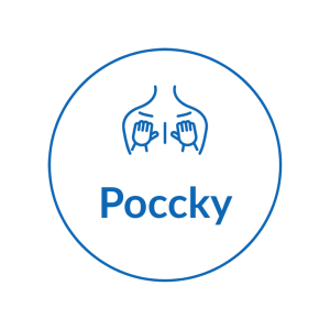 logo pocky png transparente